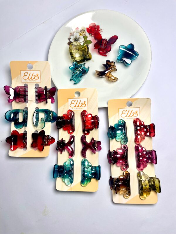Multi Color Hair Clutcher (6 Pcs Pack)